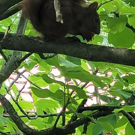 Uroczy Dom Na Ladnym Podwarszawskim Osiedlu * Michałowice