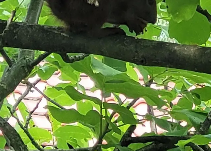 Uroczy Dom Na ładnym Podwarszawskim Osiedlu * Michałowice